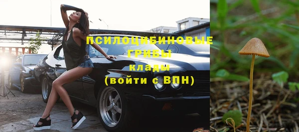 метадон Богданович