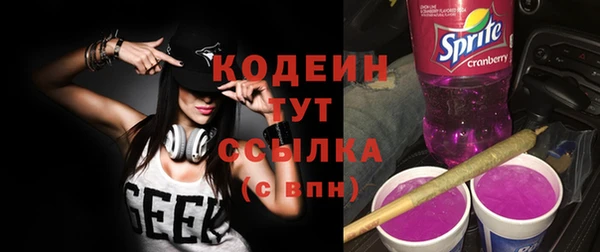 метадон Богданович