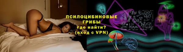 метадон Богданович