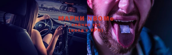 молекула духа Богородицк