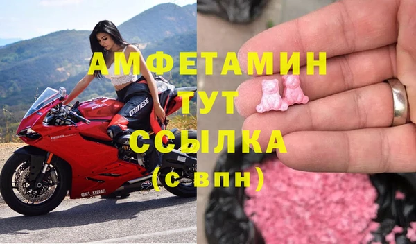 молекула духа Богородицк