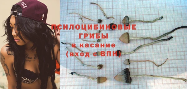 гидра Бугульма