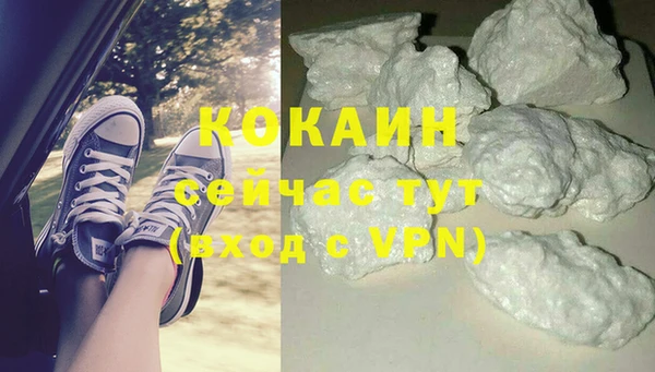 гидра Володарск