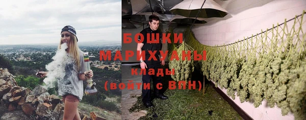 молекула духа Богородицк