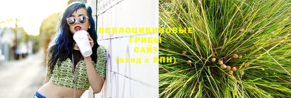 apvp Бородино