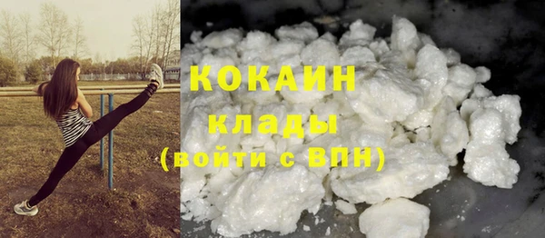 метадон Богданович