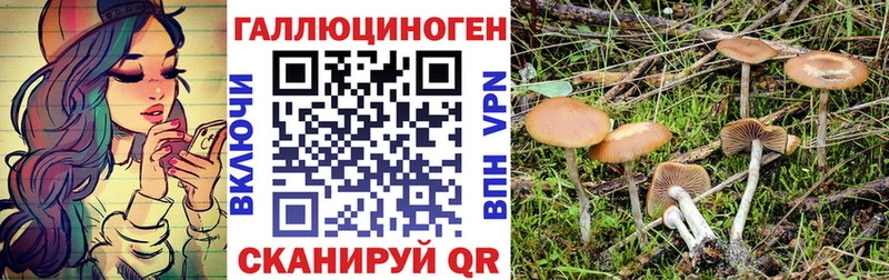 Галлюциногенные грибы Magic Shrooms  blacksprut как войти  Дигора 